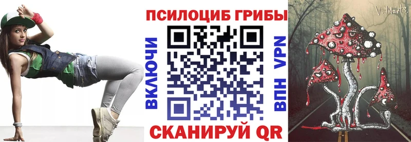 Псилоцибиновые грибы Cubensis  Нестеровская 