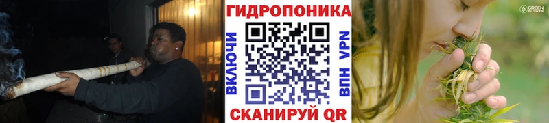 Бошки Шишки семена наркошоп Нестеровская